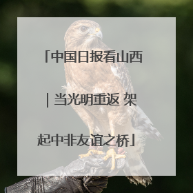 中国日报看山西｜当光明重返 架起中非友谊之桥