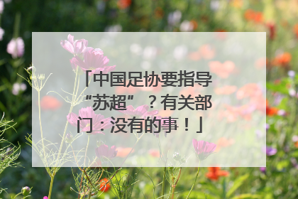 中国足协要指导“苏超”？有关部门：没有的事！