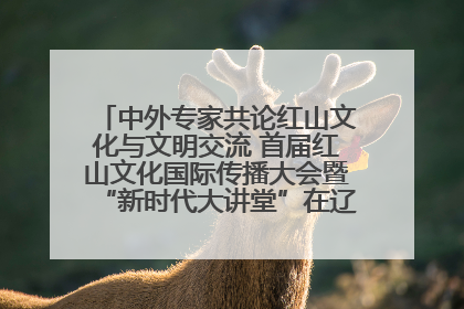 中外专家共论红山文化与文明交流 首届红山文化国际传播大会暨“新时代大讲堂”在辽宁朝阳举办