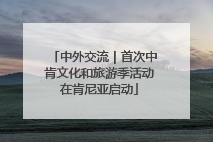中外交流｜首次中肯文化和旅游季活动在肯尼亚启动