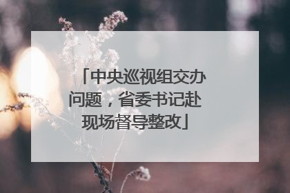 中央巡视组交办问题，省委书记赴现场督导整改