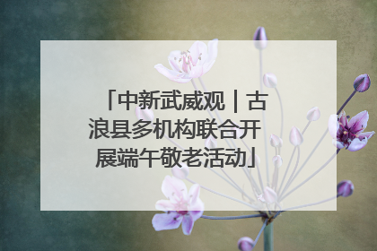 中新武威观｜古浪县多机构联合开展端午敬老活动