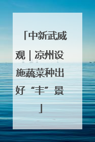 中新武威观｜凉州设施蔬菜种出好“丰”景