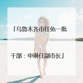 乌鲁木齐市任免一批干部：申琳任副市长