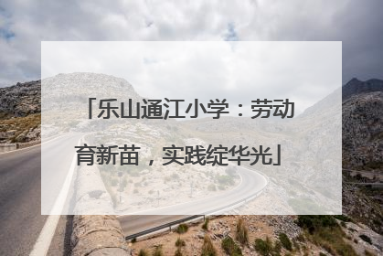 乐山通江小学：劳动育新苗，实践绽华光