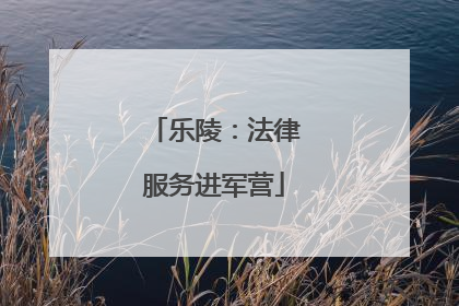 乐陵：法律服务进军营