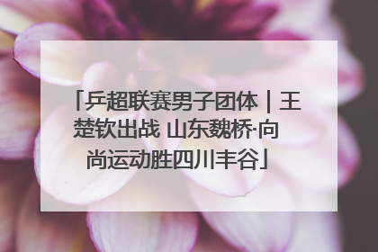 乒超联赛男子团体｜王楚钦出战 山东魏桥·向尚运动胜四川丰谷