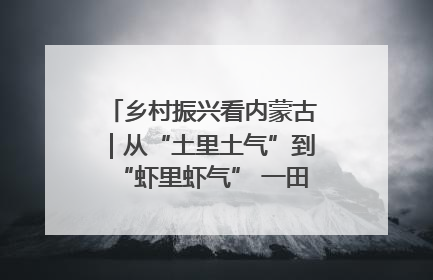 乡村振兴看内蒙古｜从“土里土气”到“虾里虾气” 一田双收模式火出圈