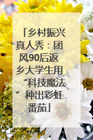 乡村振兴真人秀：团风90后返乡大学生用“科技魔法”种出彩虹番茄