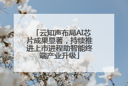 云知声布局AI芯片成果显著，持续推进上市进程助智能终端产业升级