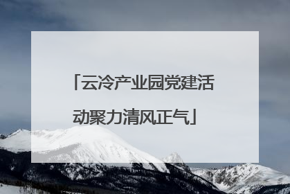 云冷产业园党建活动聚力清风正气