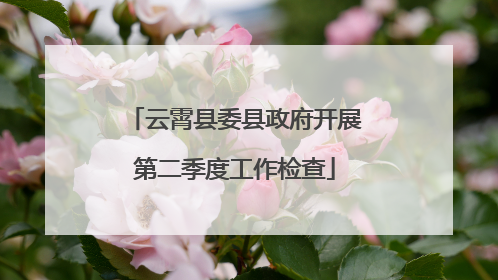 云霄县委县政府开展第二季度工作检查