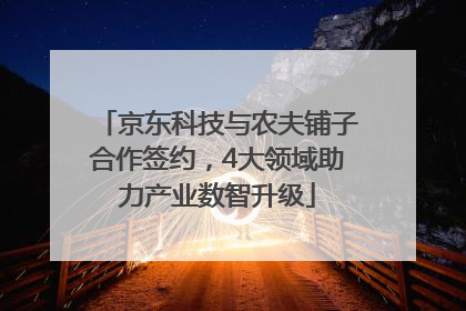 京东科技与农夫铺子合作签约，4大领域助力产业数智升级