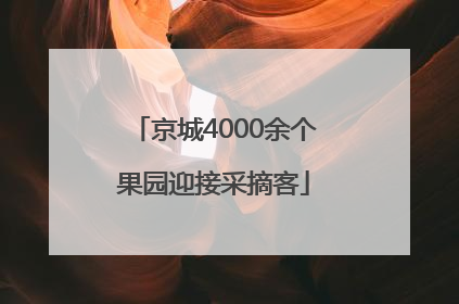 京城4000余个果园迎接采摘客