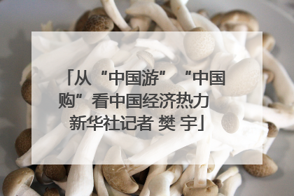 从“中国游”“中国购”看中国经济热力 新华社记者 樊 宇