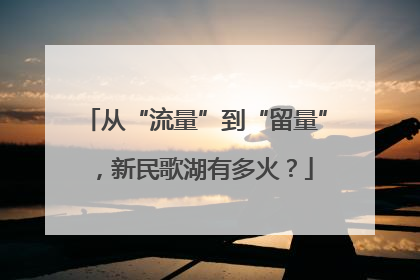 从“流量”到“留量”，新民歌湖有多火？