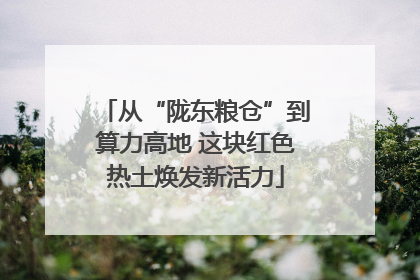 从“陇东粮仓”到算力高地 这块红色热土焕发新活力