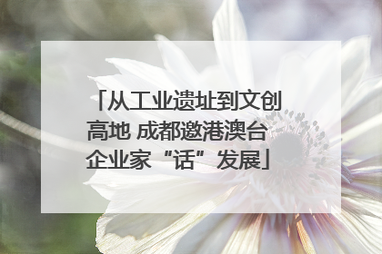 从工业遗址到文创高地 成都邀港澳台企业家“话”发展