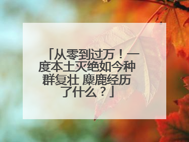 从零到过万！一度本土灭绝如今种群复壮 麋鹿经历了什么？