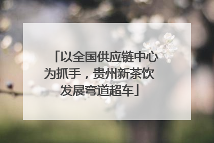 以全国供应链中心为抓手，贵州新茶饮发展弯道超车
