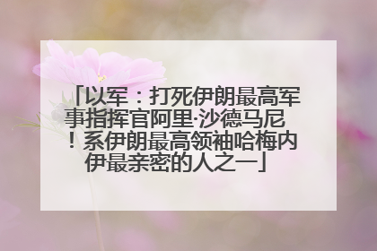 以军：打死伊朗最高军事指挥官阿里·沙德马尼！系伊朗最高领袖哈梅内伊最亲密的人之一