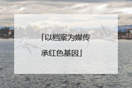 以档案为媒传承红色基因