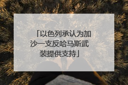 以色列承认为加沙一支反哈马斯武装提供支持