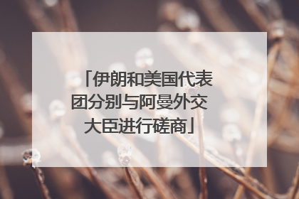 伊朗和美国代表团分别与阿曼外交大臣进行磋商