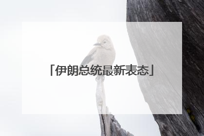 伊朗总统最新表态