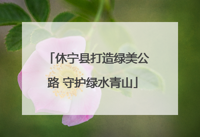 休宁县打造绿美公路 守护绿水青山