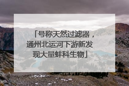 号称天然过滤器，通州北运河下游新发现大量蚌科生物