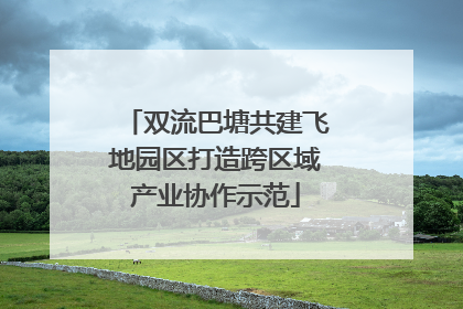 双流巴塘共建飞地园区打造跨区域产业协作示范