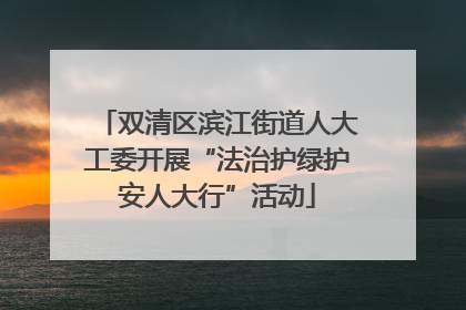 双清区滨江街道人大工委开展“法治护绿护安人大行”活动