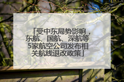 受中东局势影响，东航、国航、深航等5家航空公司发布相关航线退改政策