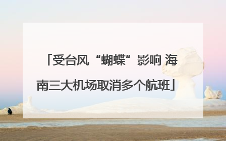 受台风“蝴蝶”影响 海南三大机场取消多个航班