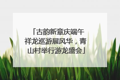 古韵新章庆端午 祥龙巡游展风华，青山村举行游龙盛会