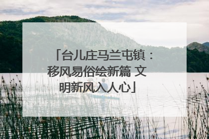 台儿庄马兰屯镇：移风易俗绘新篇 文明新风入人心
