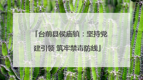 台前县侯庙镇：坚持党建引领 筑牢禁毒防线