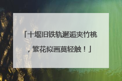 十堰旧铁轨邂逅夹竹桃，繁花似画莫轻触！