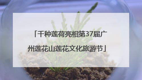 千种莲荷亮相第37届广州莲花山莲花文化旅游节