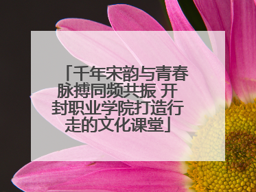千年宋韵与青春脉搏同频共振 开封职业学院打造行走的文化课堂