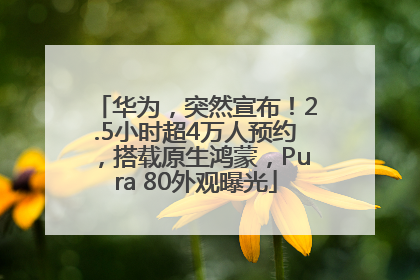 华为，突然宣布！2.5小时超4万人预约，搭载原生鸿蒙，Pura 80外观曝光