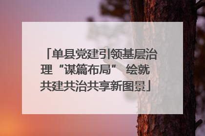 单县党建引领基层治理“谋篇布局” 绘就共建共治共享新图景