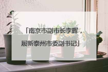 南京市副市长李晖，履新泰州市委副书记