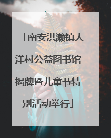 南安洪濑镇大洋村公益图书馆揭牌暨儿童节特别活动举行