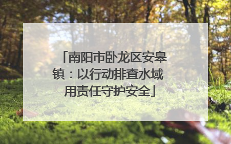 南阳市卧龙区安皋镇：以行动排查水域 用责任守护安全