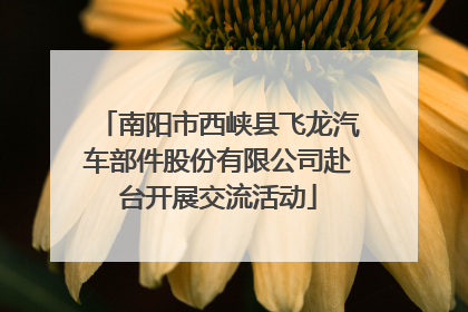 南阳市西峡县飞龙汽车部件股份有限公司赴台开展交流活动