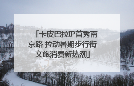 卡皮巴拉IP首秀南京路 拉动暑期步行街文旅消费新热潮