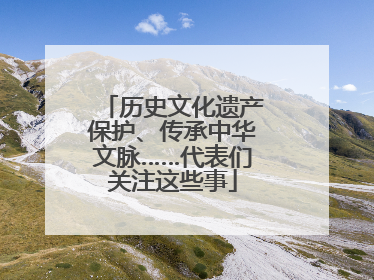 历史文化遗产保护、传承中华文脉……代表们关注这些事