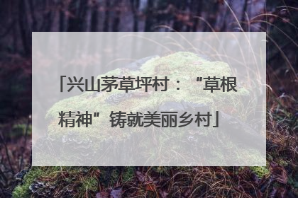 兴山茅草坪村：“草根精神”铸就美丽乡村